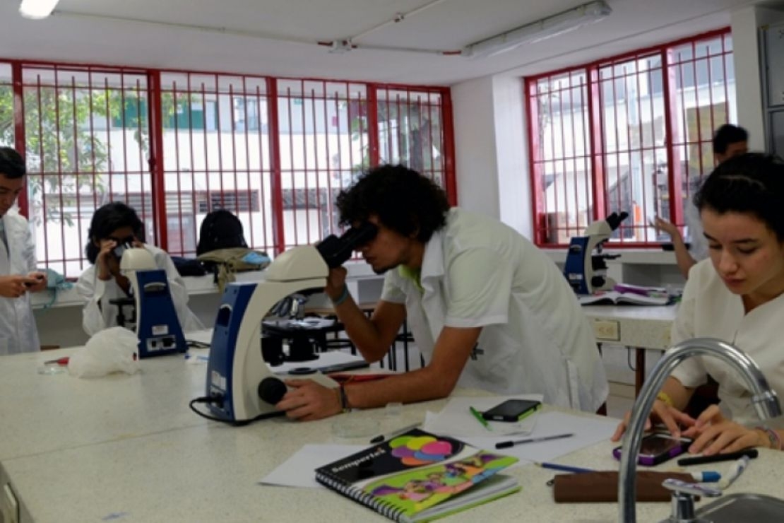 Diplomado Virtual Problemáticas de la Docencia en la Educación Superior