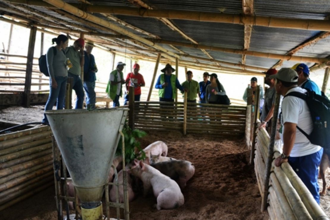 Proyecto de Investigación: Construcción de Prácticas Pedagógicas Alternativas para la Formación de Maestros para la Paz, la Equidad y la Reconciliación